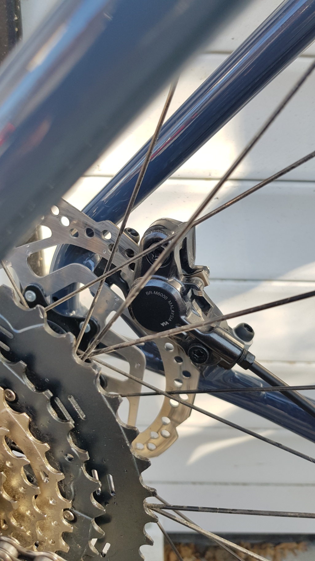Bike view 5