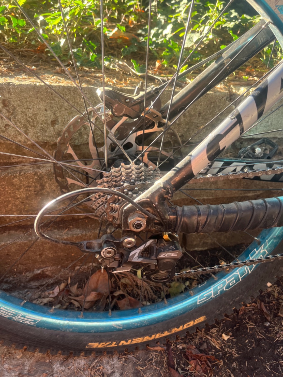 Bike view 8