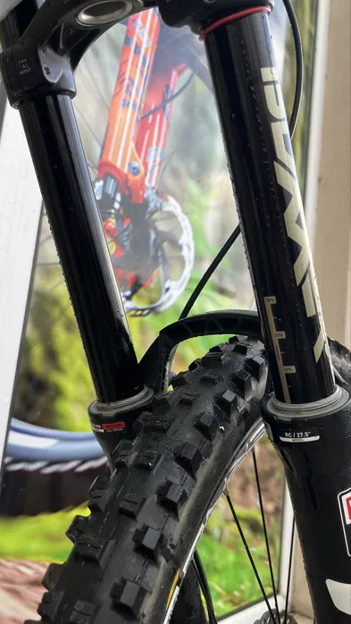 Bike view 9