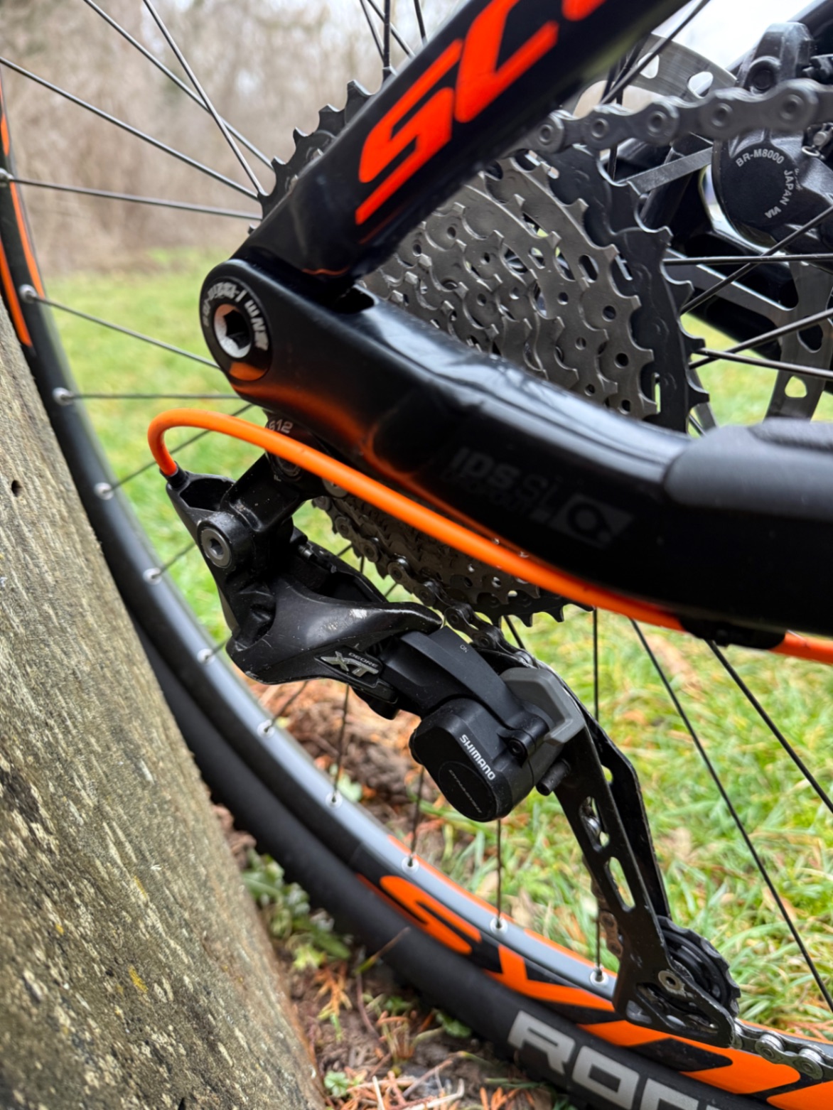 Bike view 12