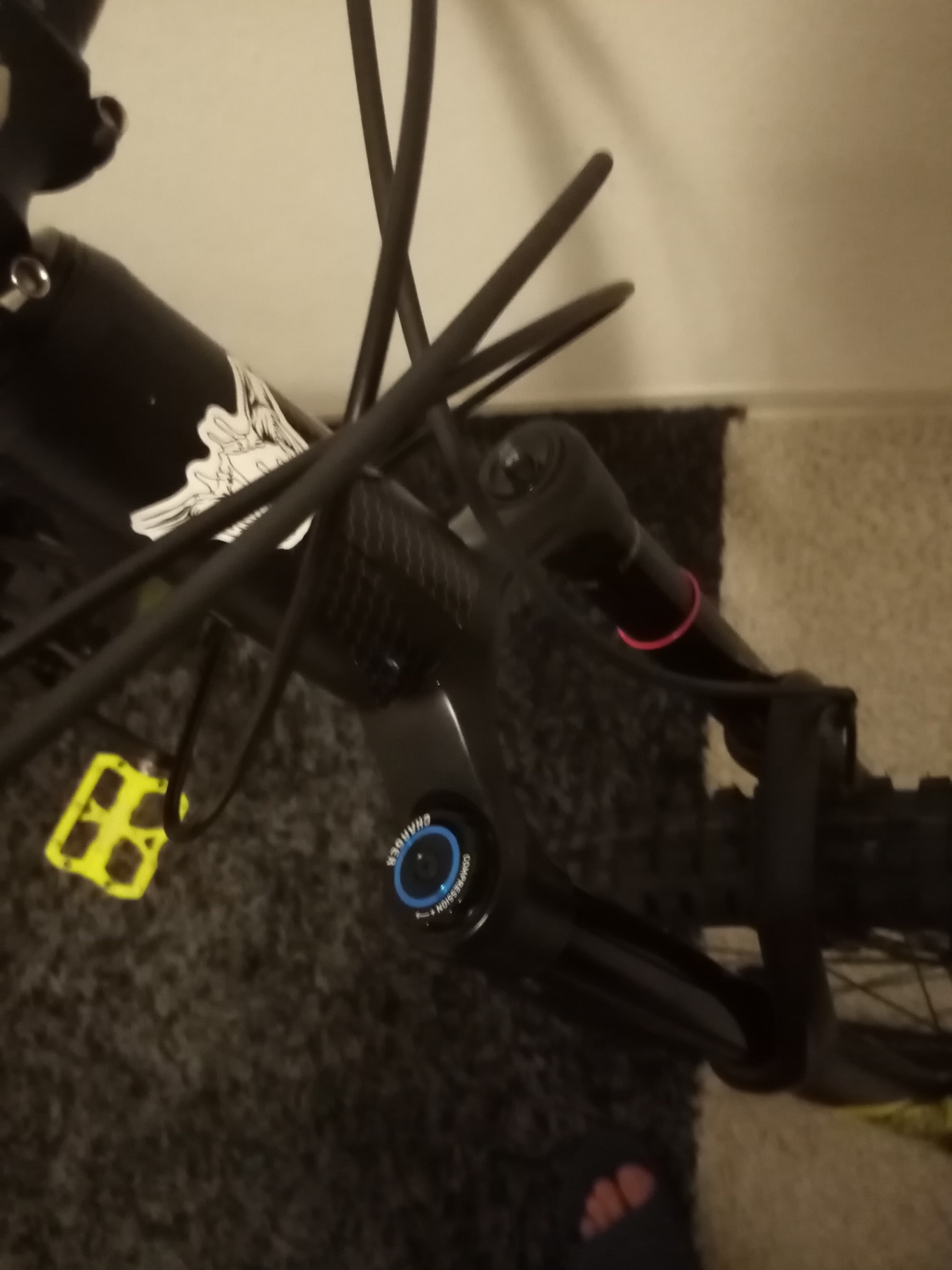 Bike view 5