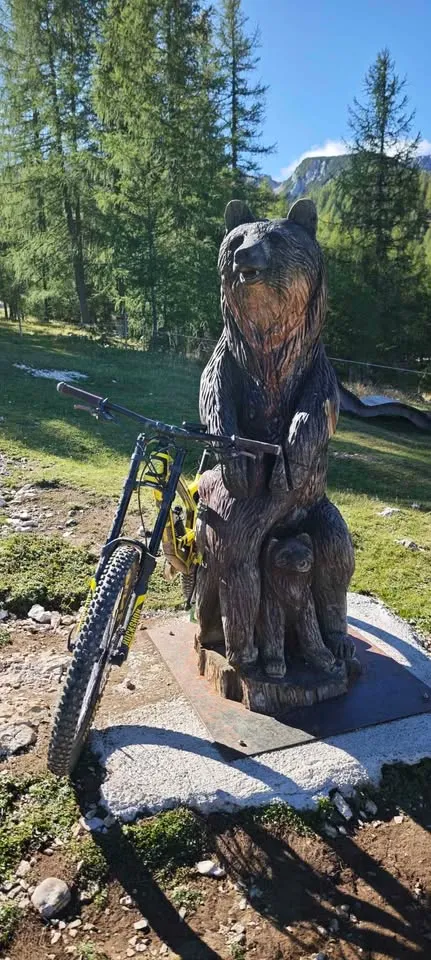 Rock Shox Boxxer WC | Nameri.Bike