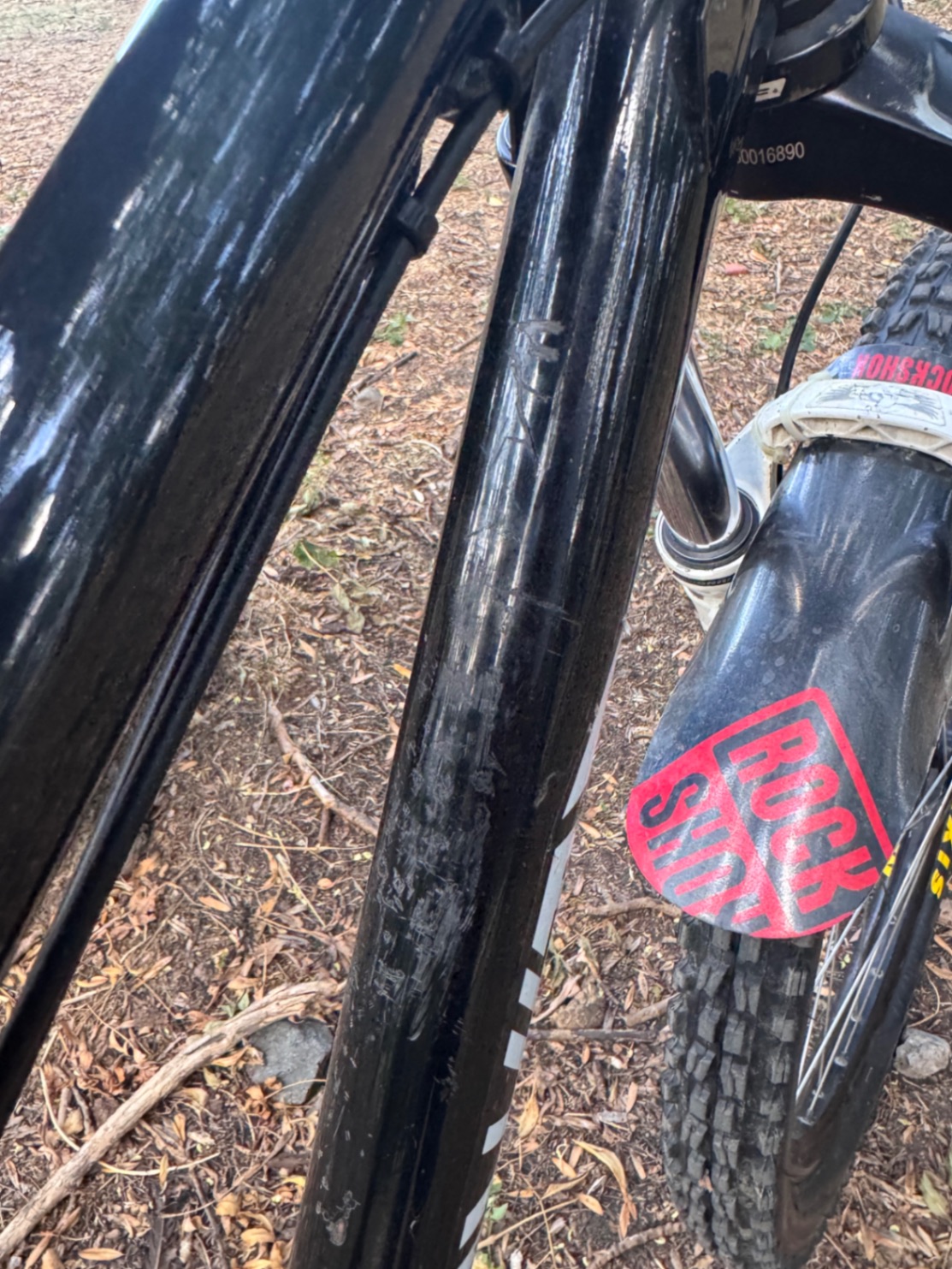 Bike view 4
