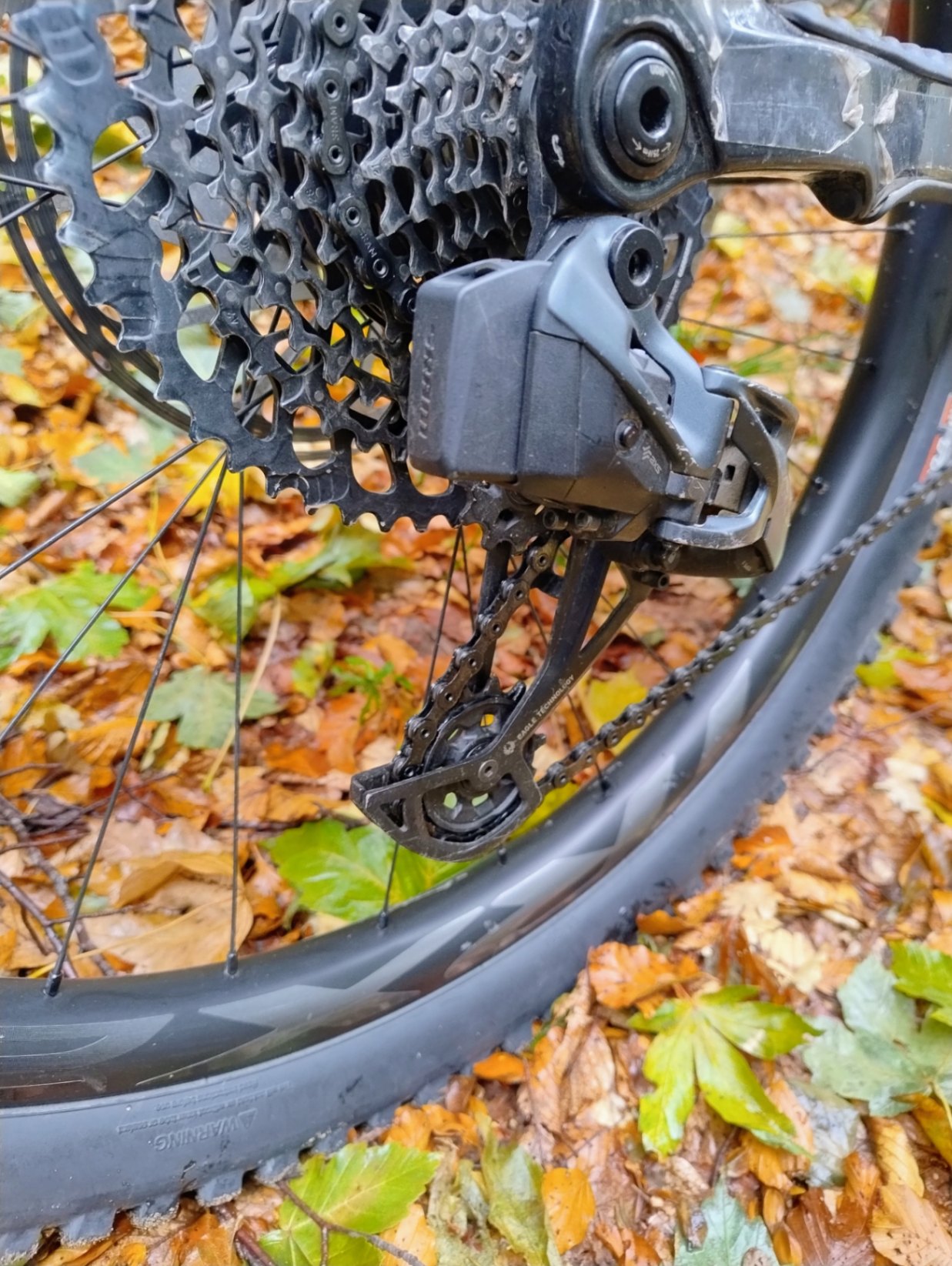 Bike view 5