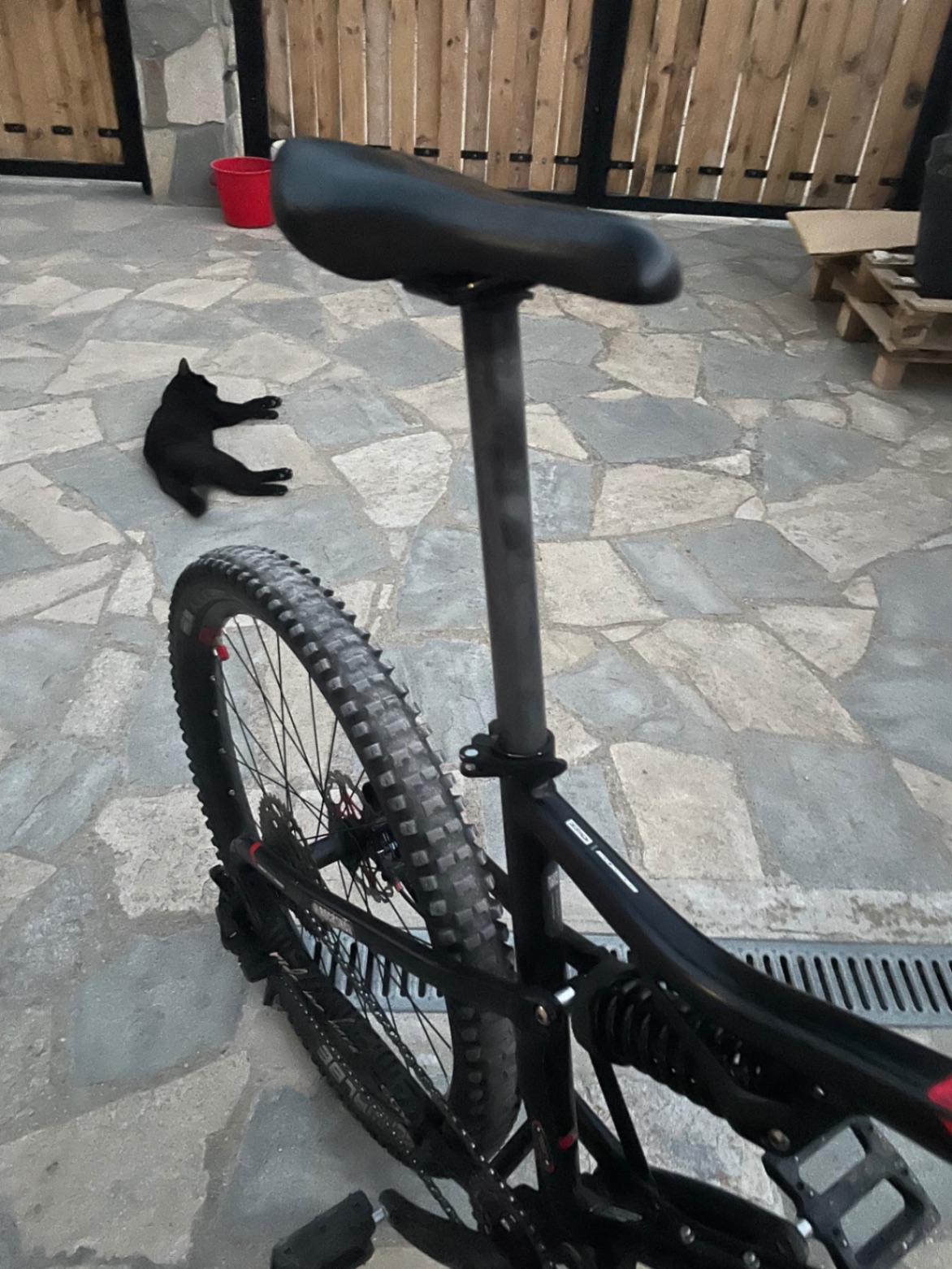 Bike view 7