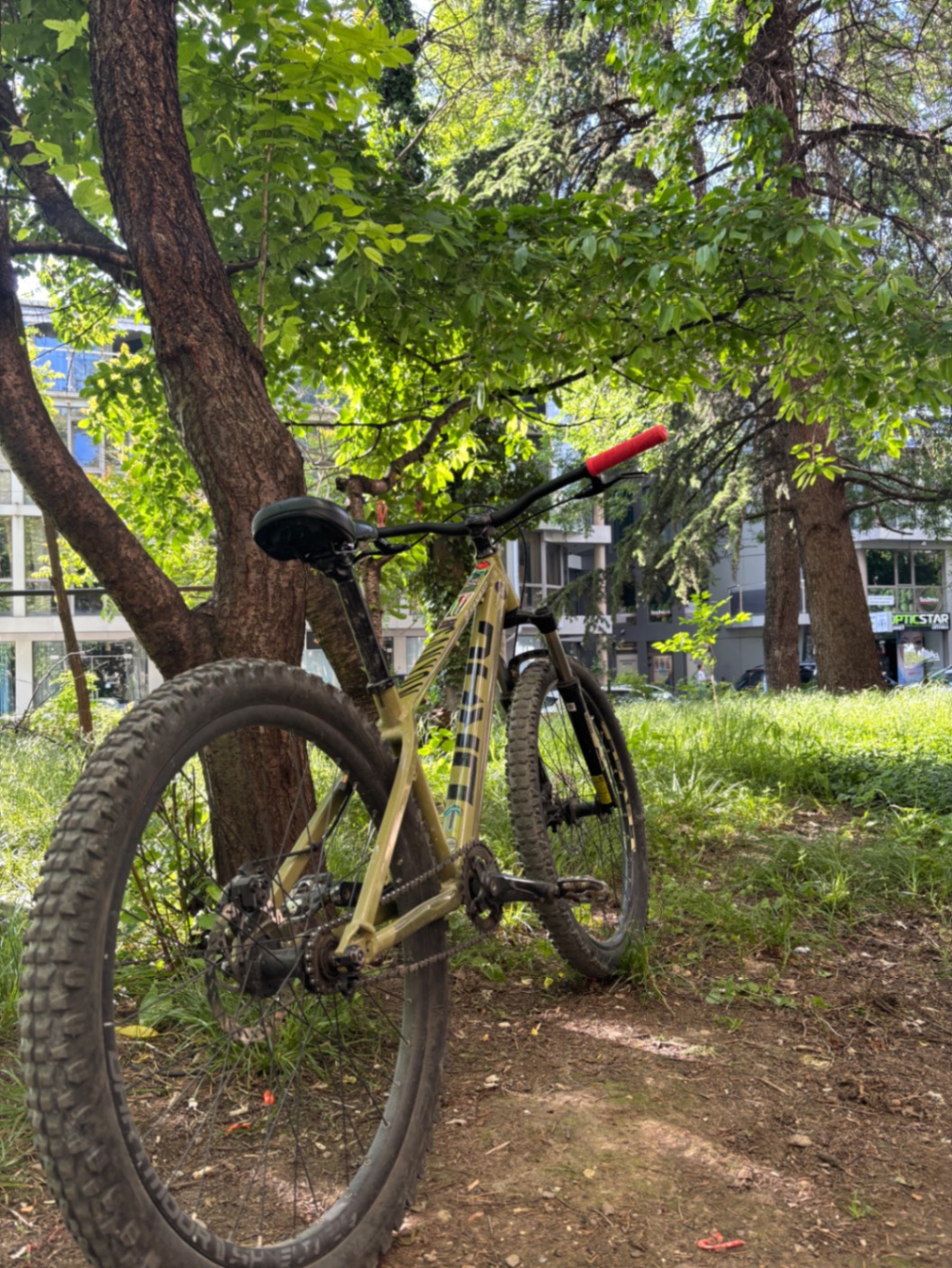Bike view 5