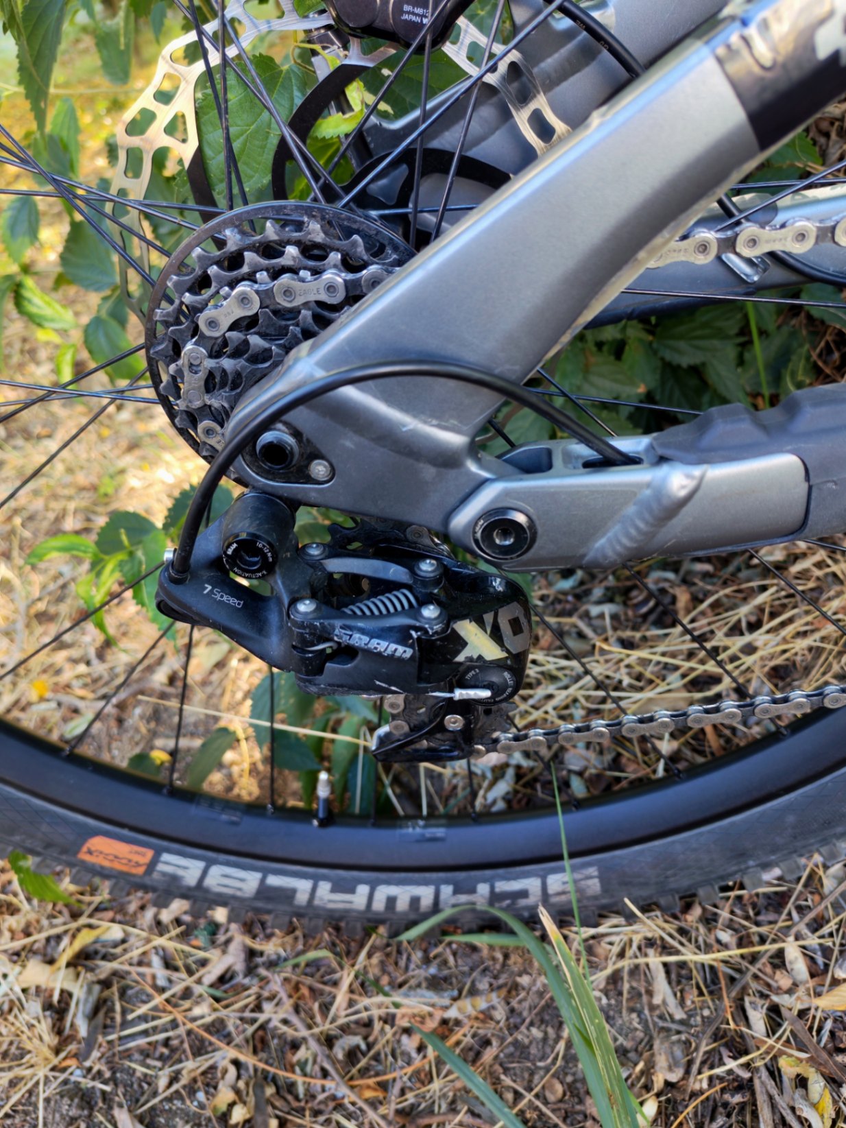 Bike view 10