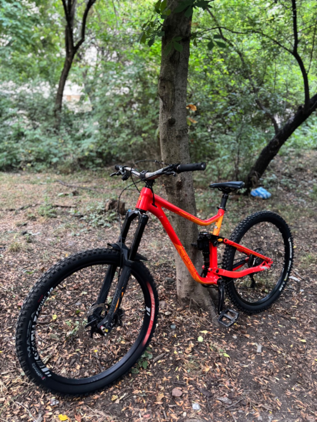 Bike view 7