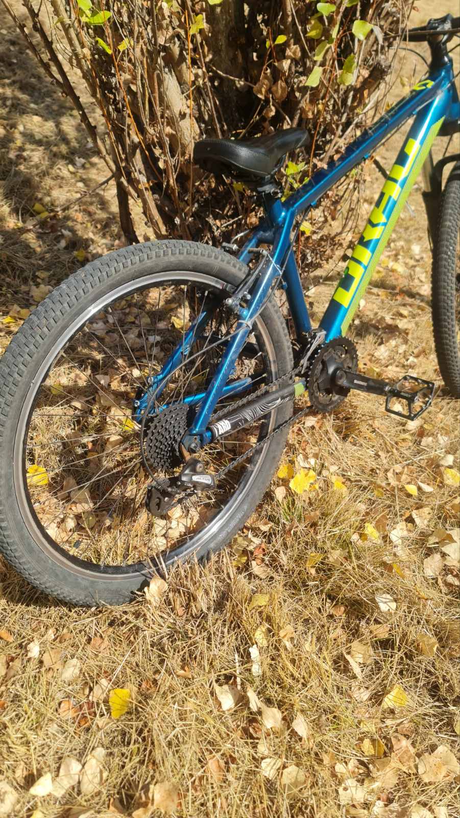 Bike view 8
