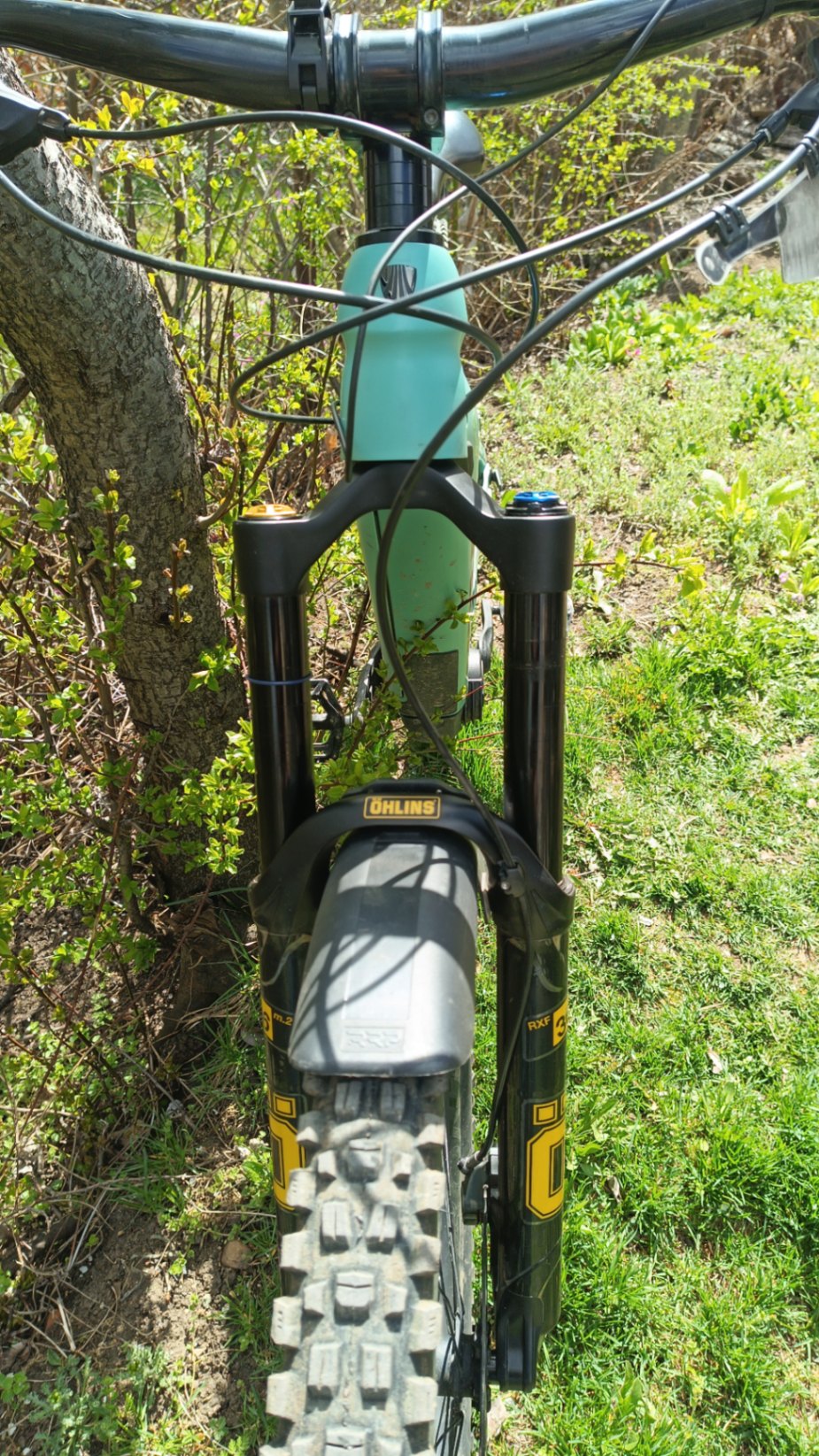Bike view 8