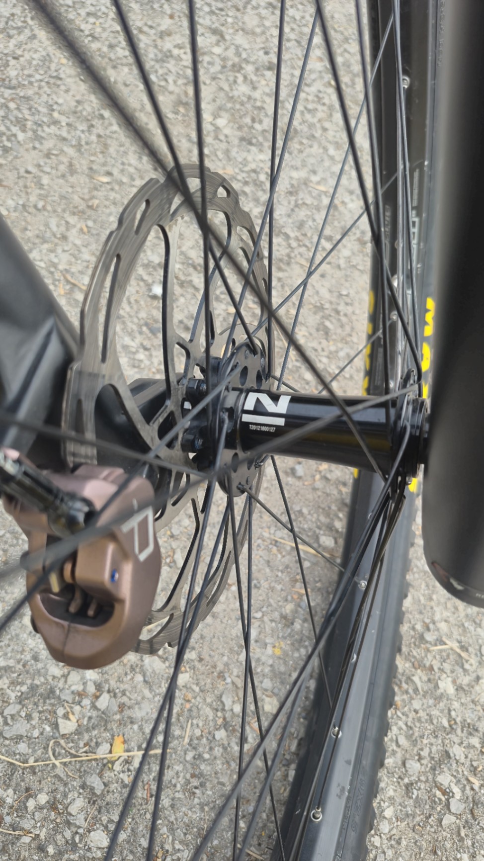 Bike view 7