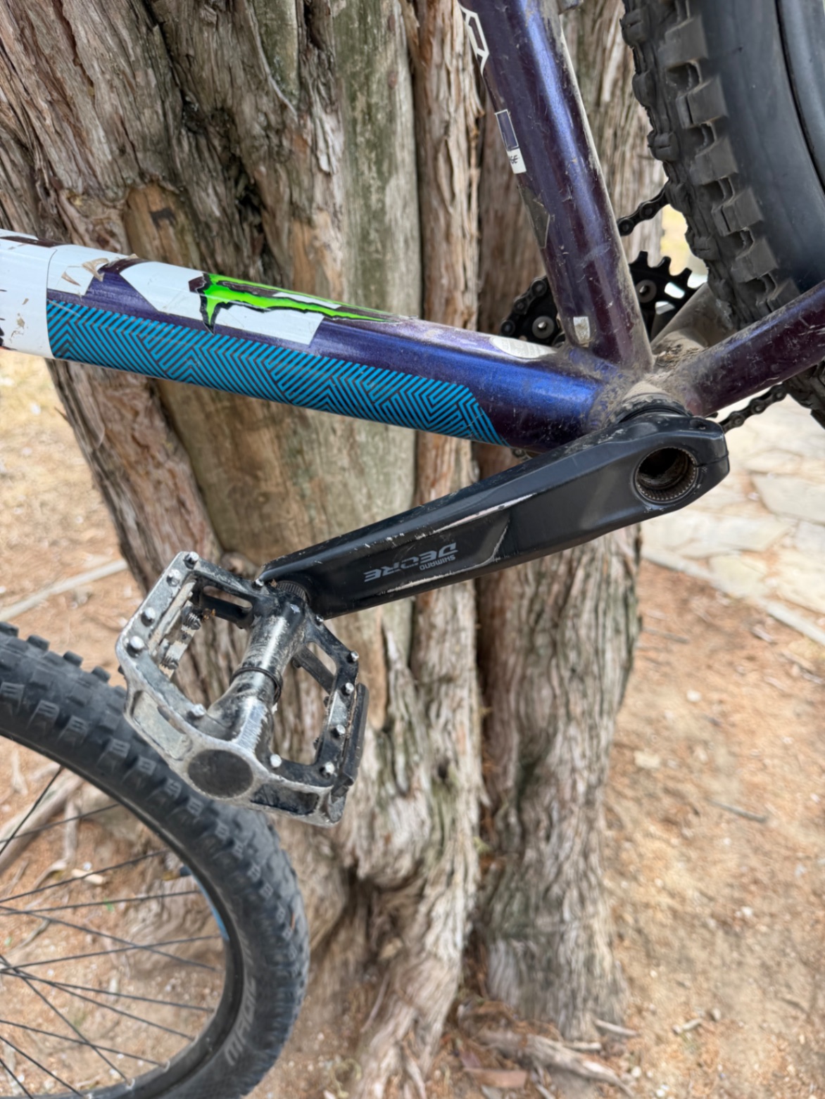 Bike view 7
