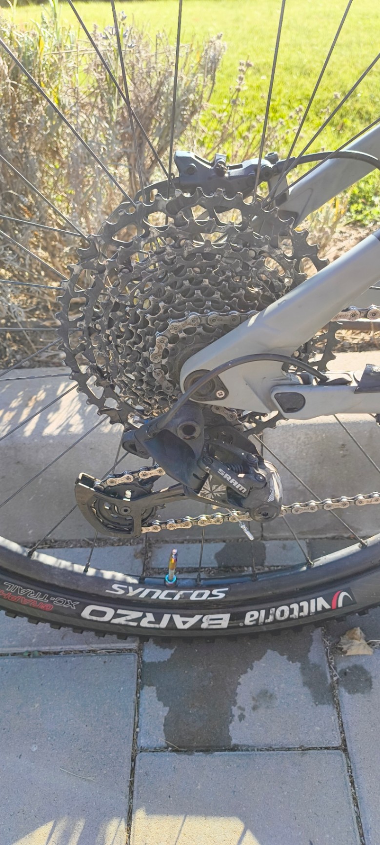 Bike view 8