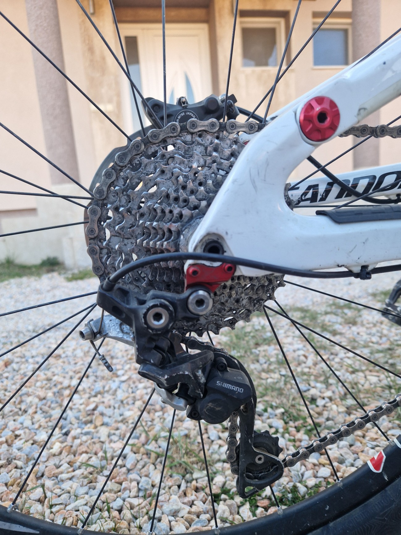 Bike view 6