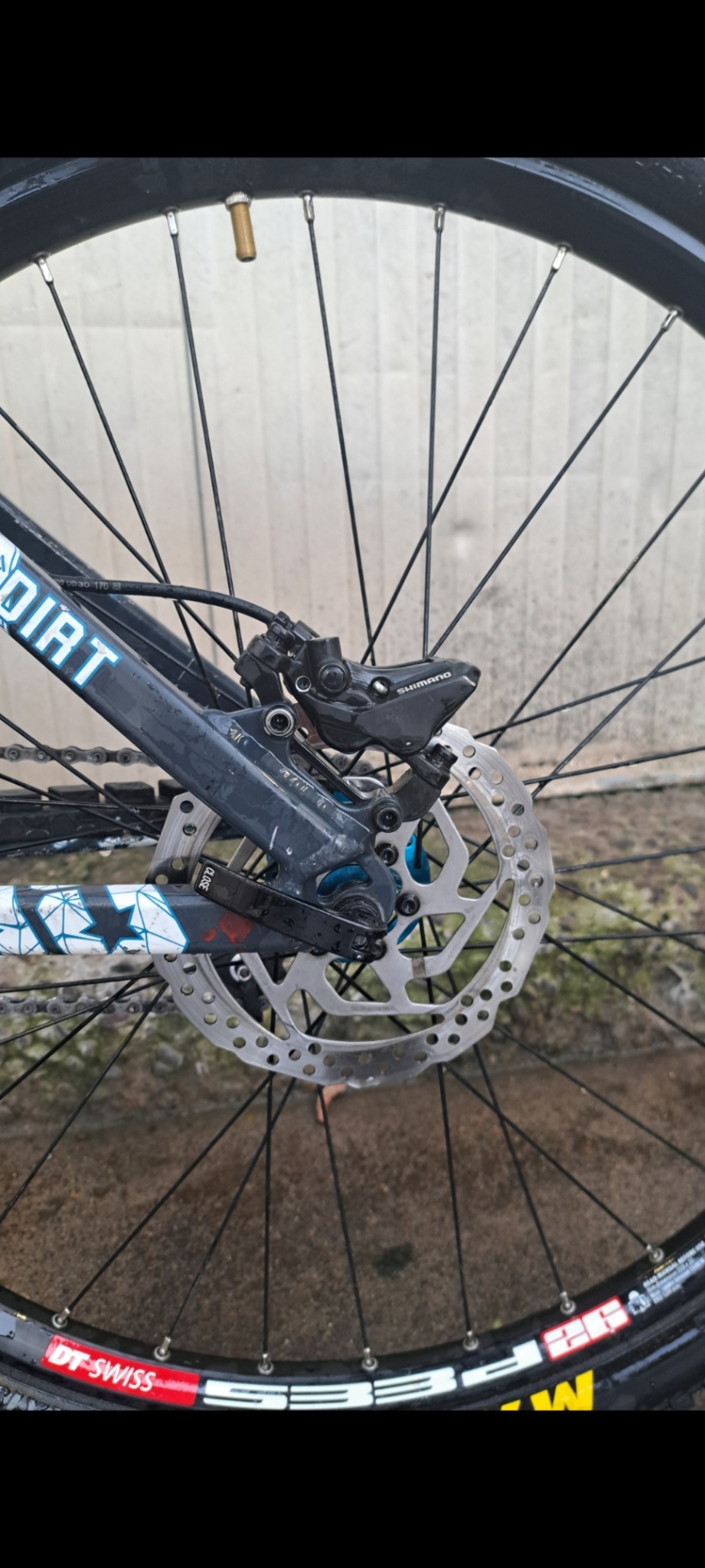Bike view 9