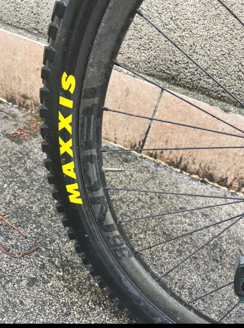 Bike view 7