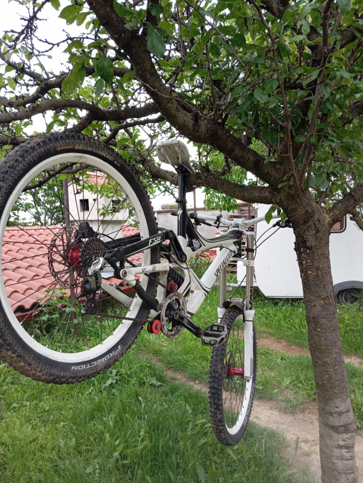 Bike view 6