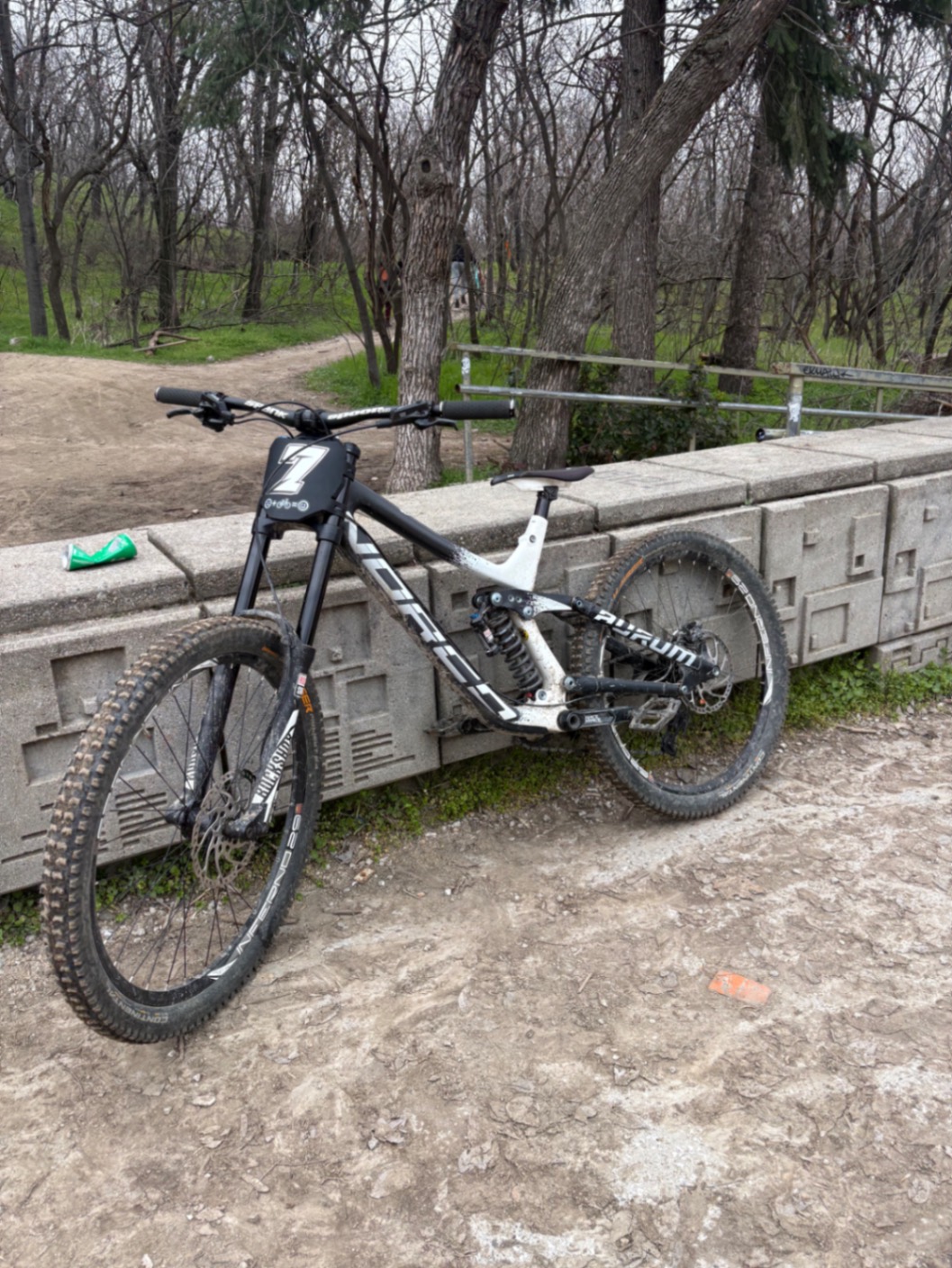 Bike view 7