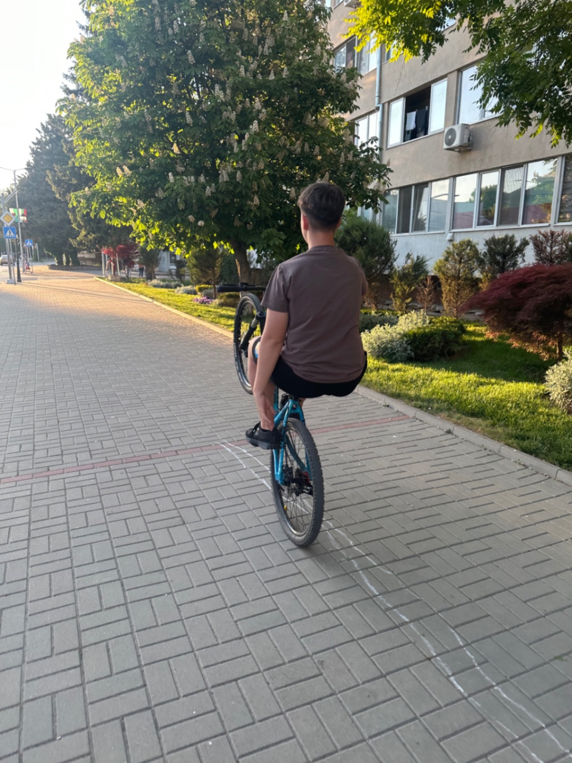 Bike view 5