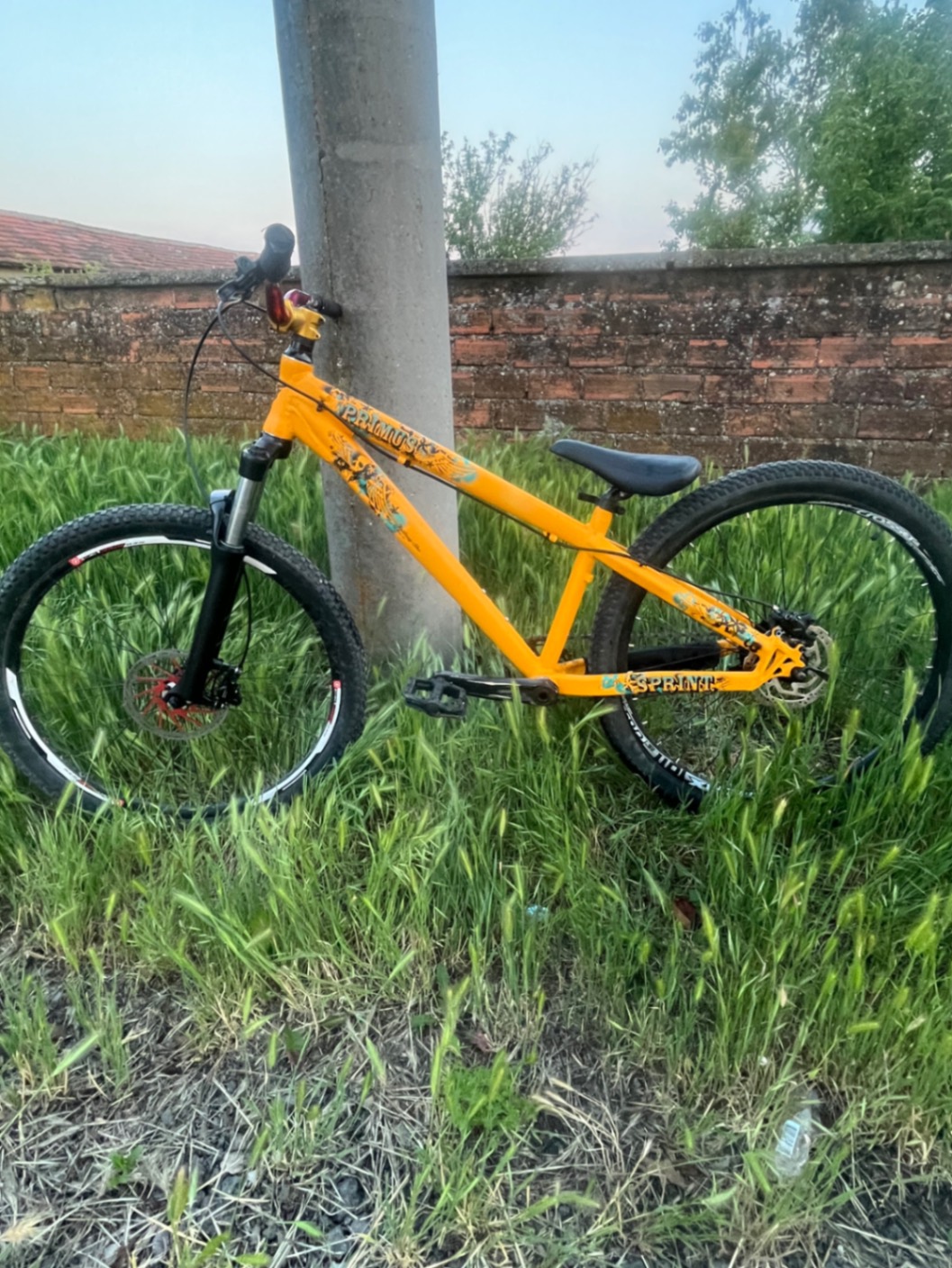 Bike view 4