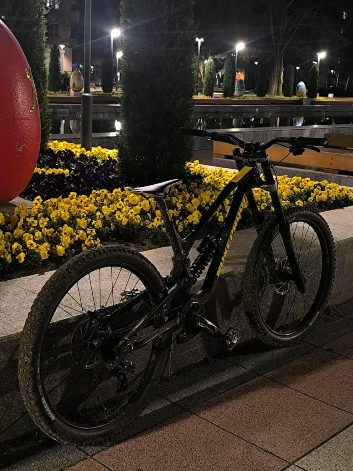 Bike view 7