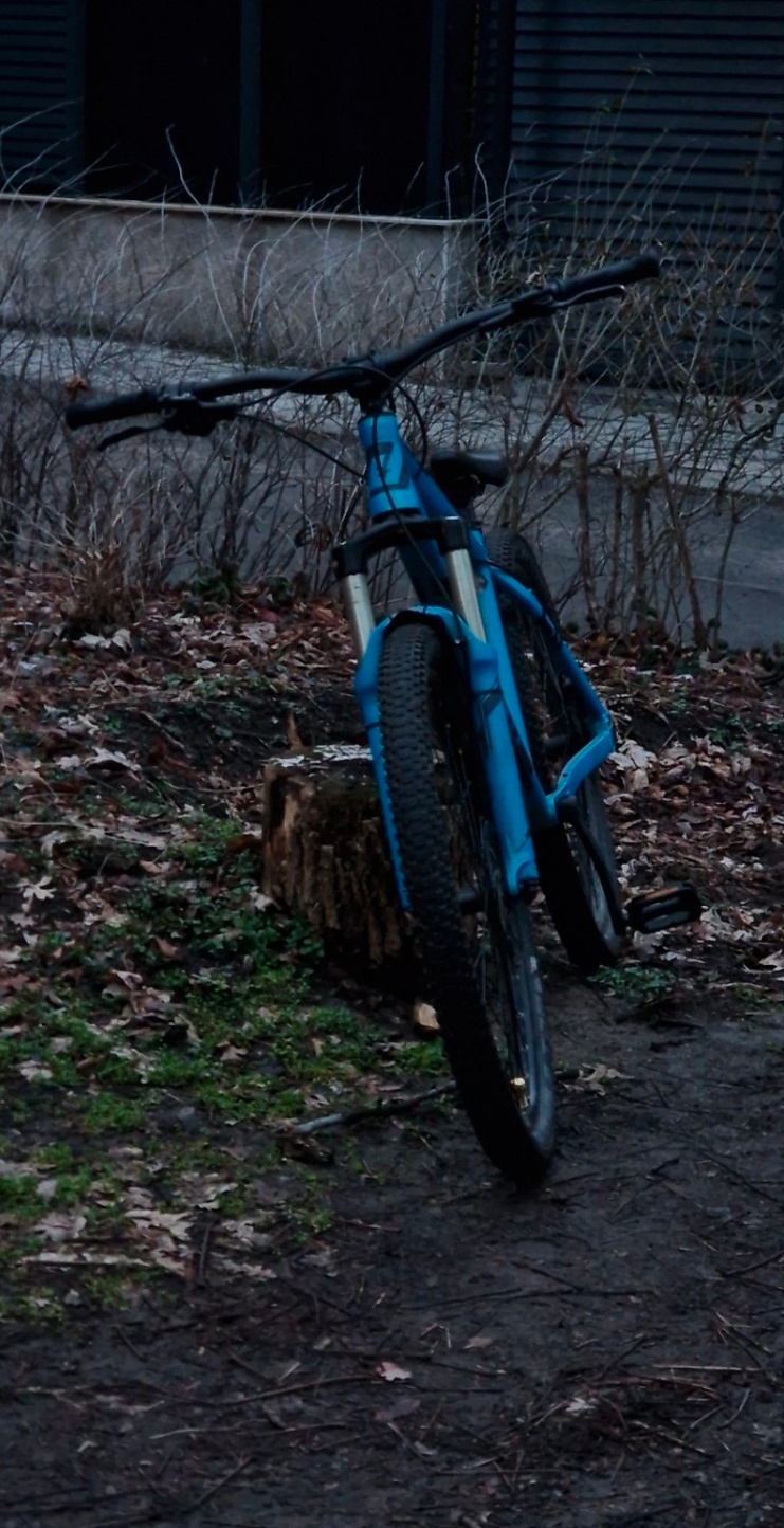 Bike view 7