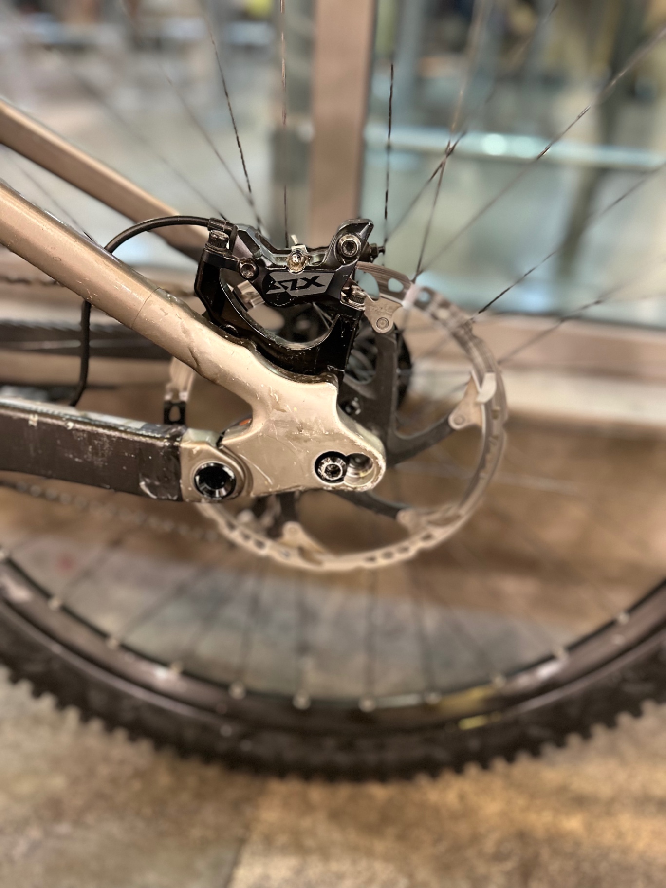 Bike view 7