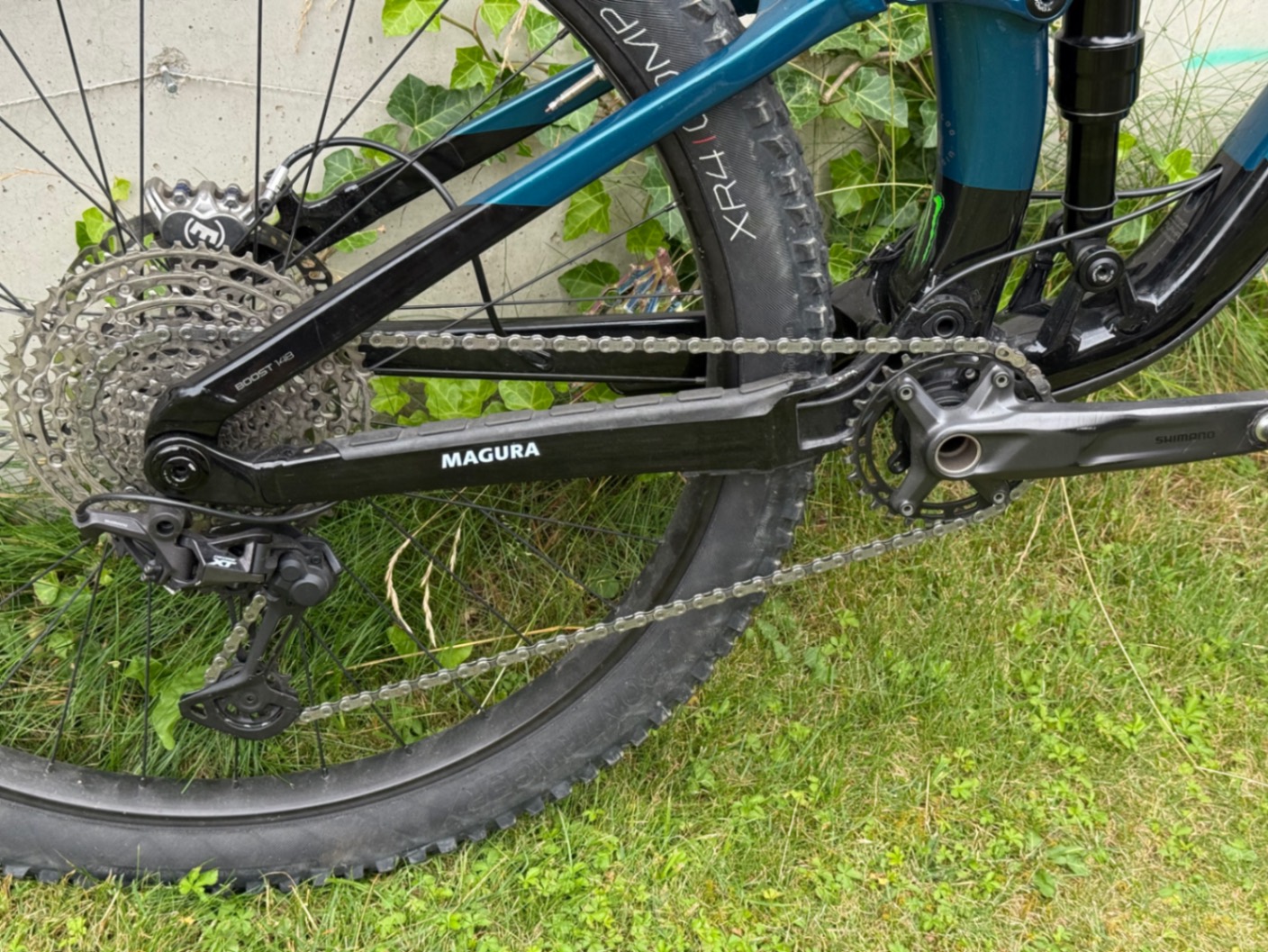 Bike view 12