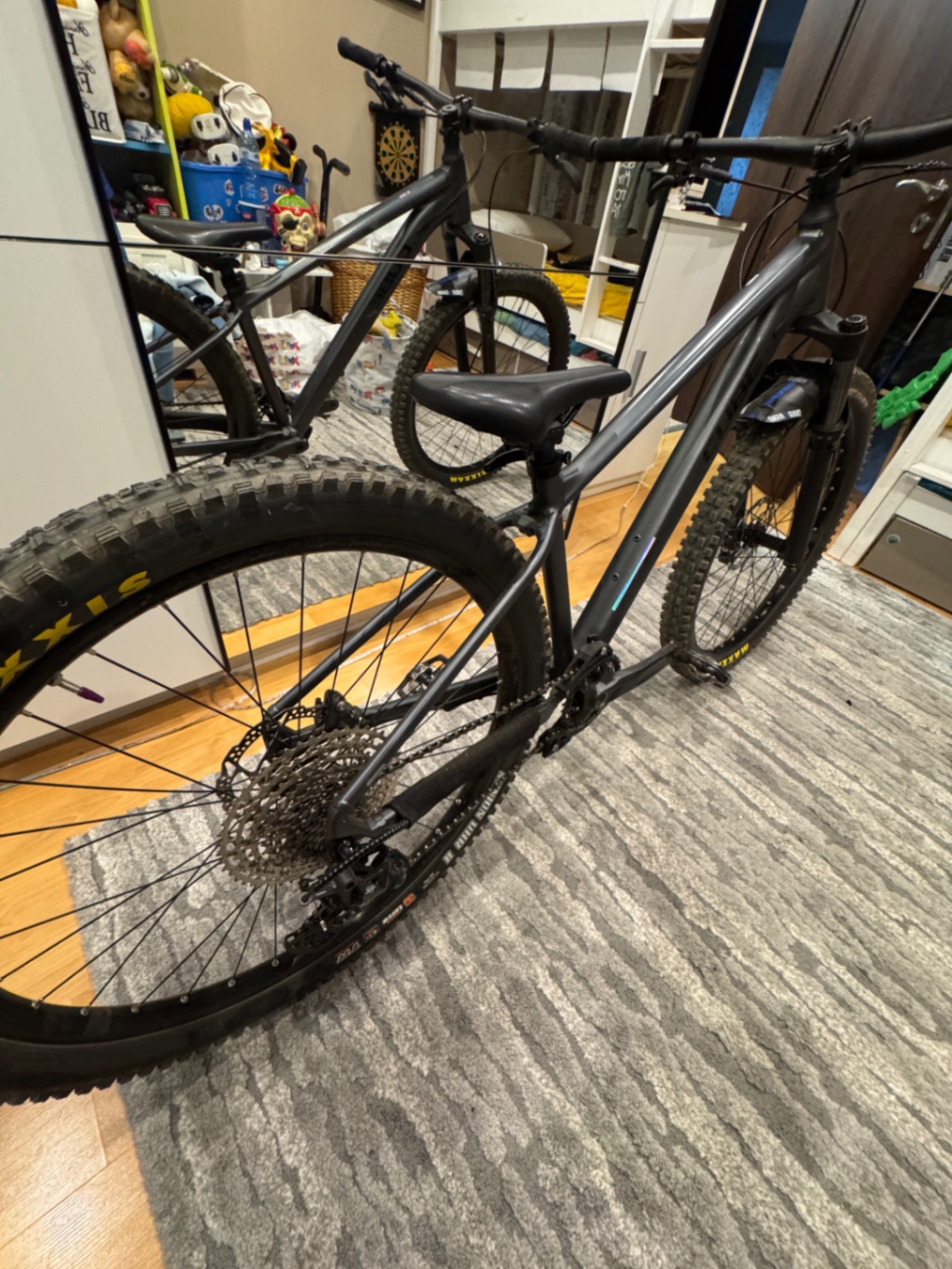 Bike view 6