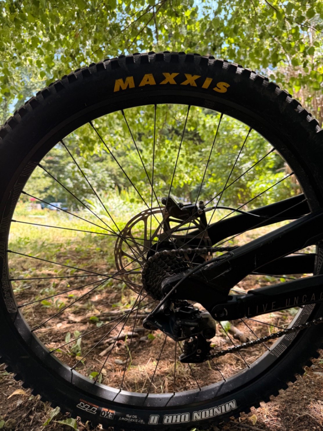 Bike view 5