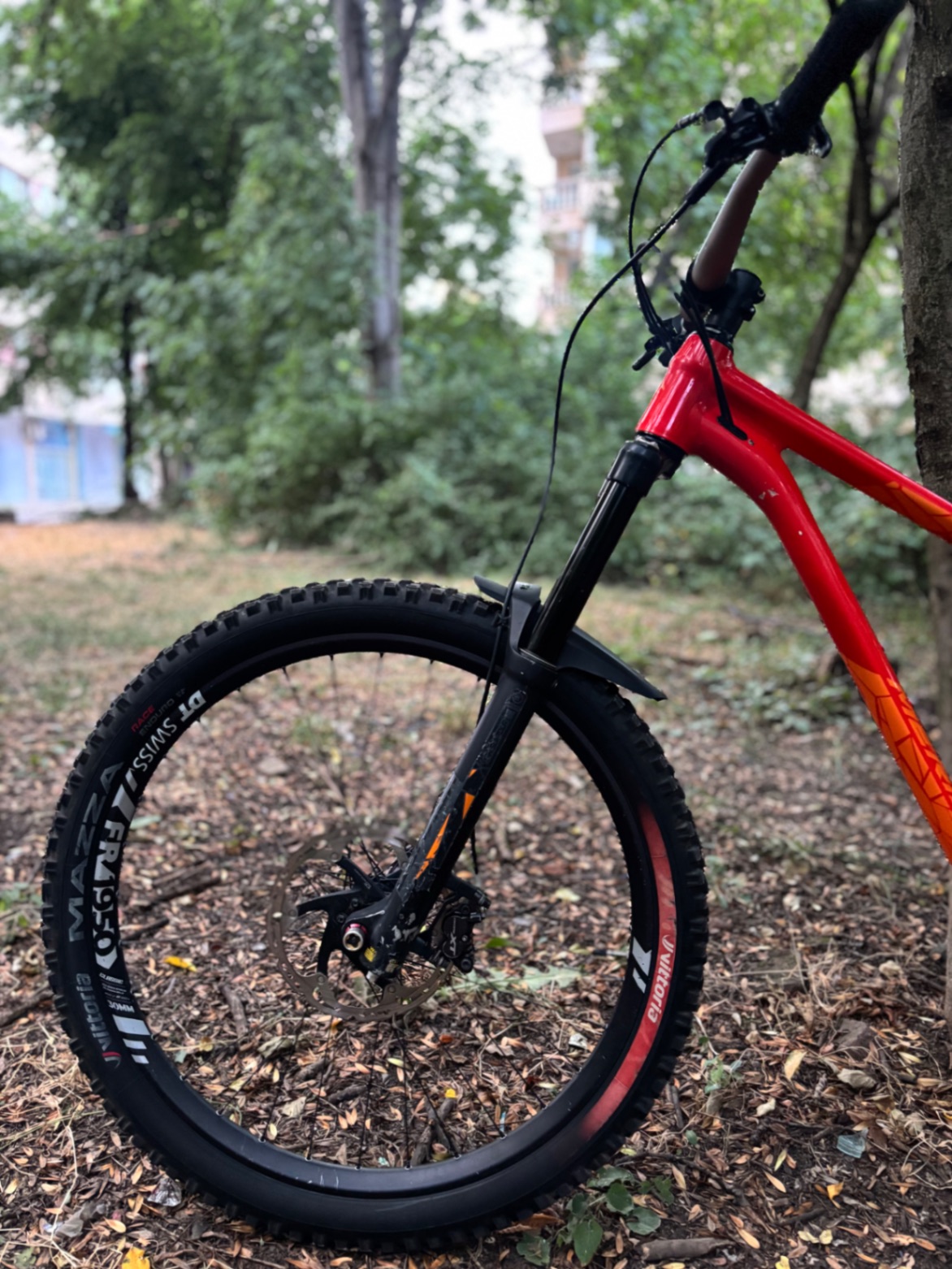 Bike view 4