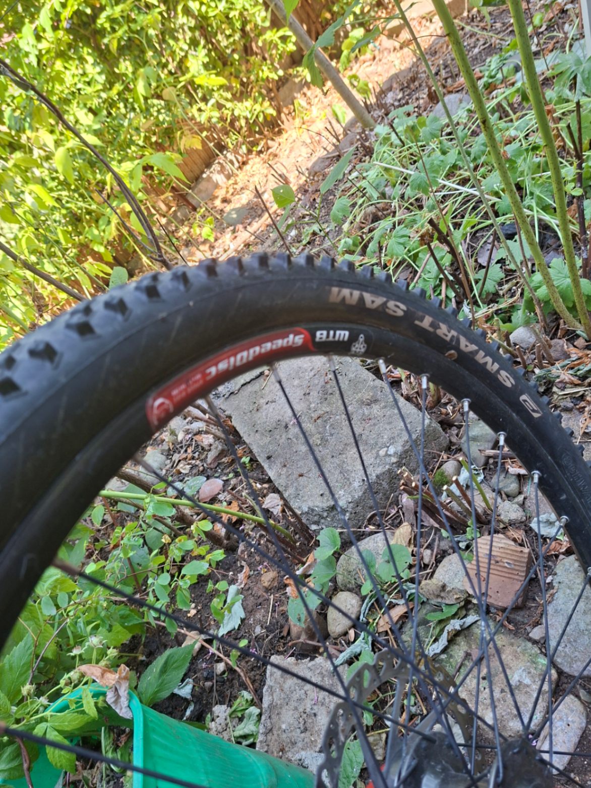 Bike view 8
