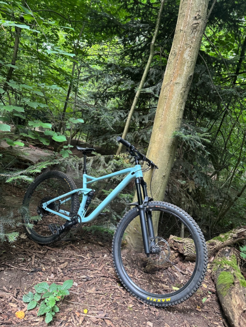 Bike view 2