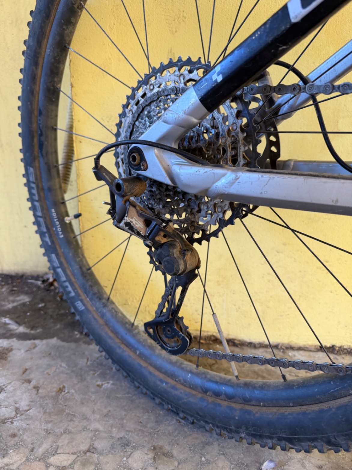 Bike view 6