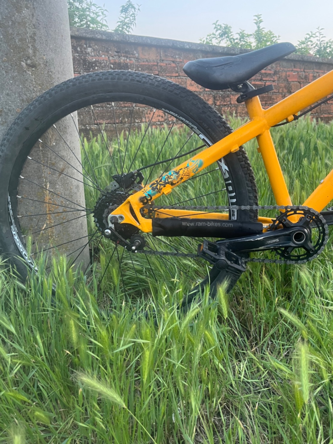 Bike view 2