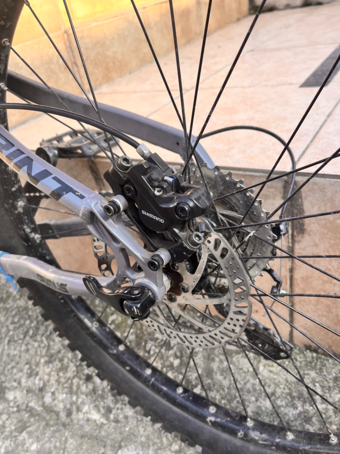 Bike view 5