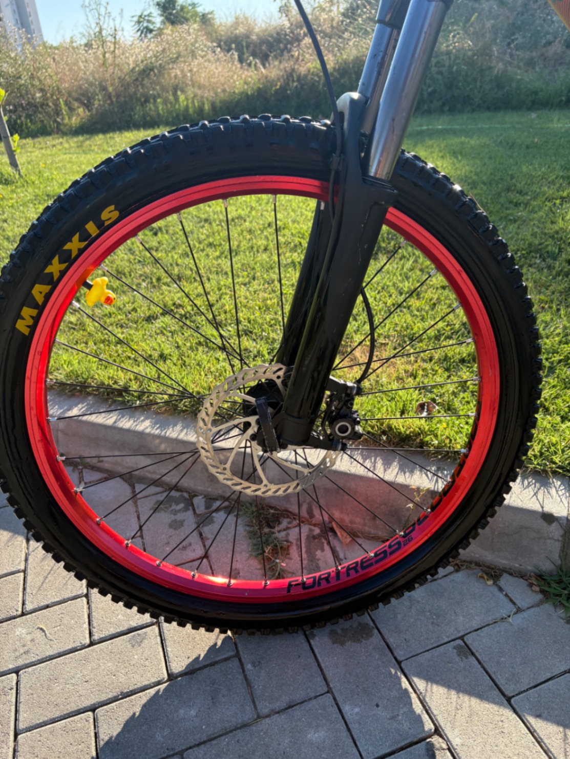 Bike view 4