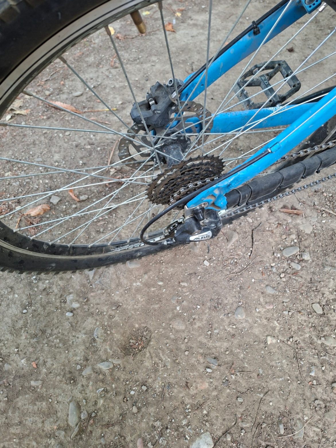 Bike view 5