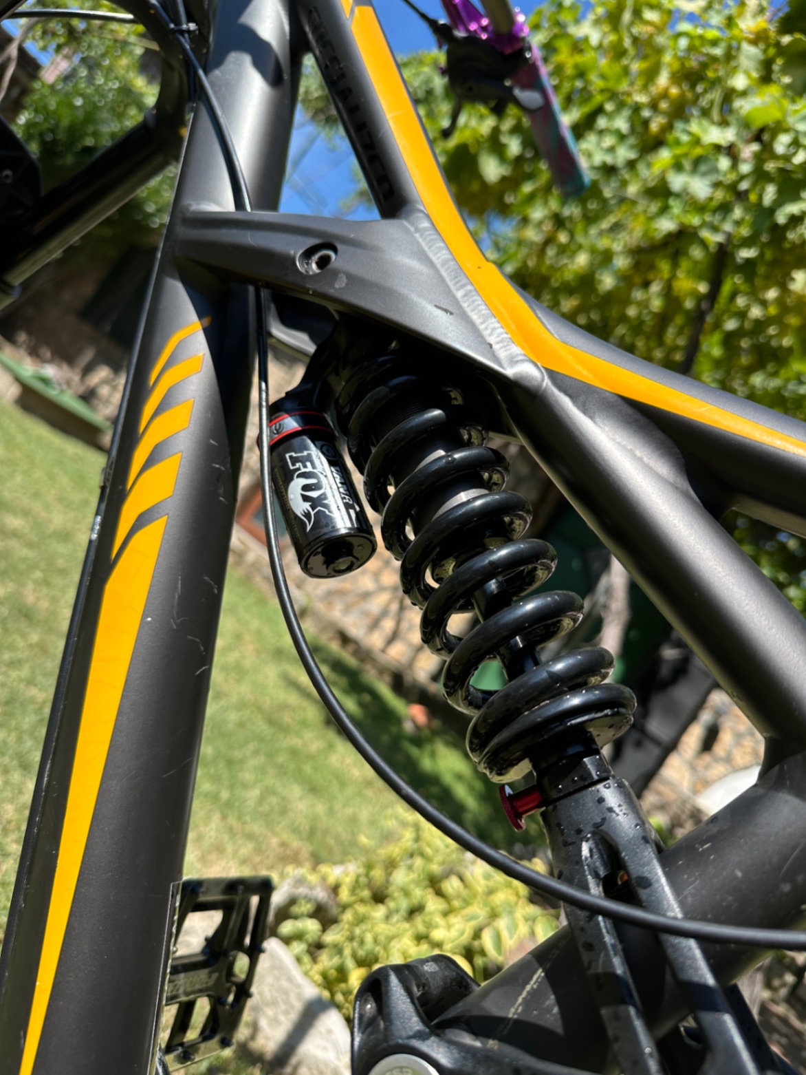Bike view 6