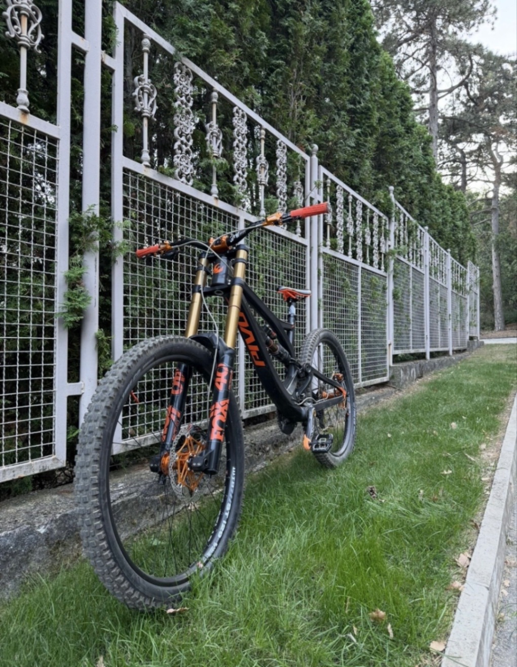 Bike view 8
