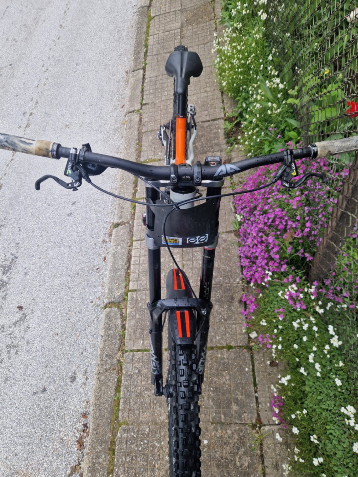 Bike view 8