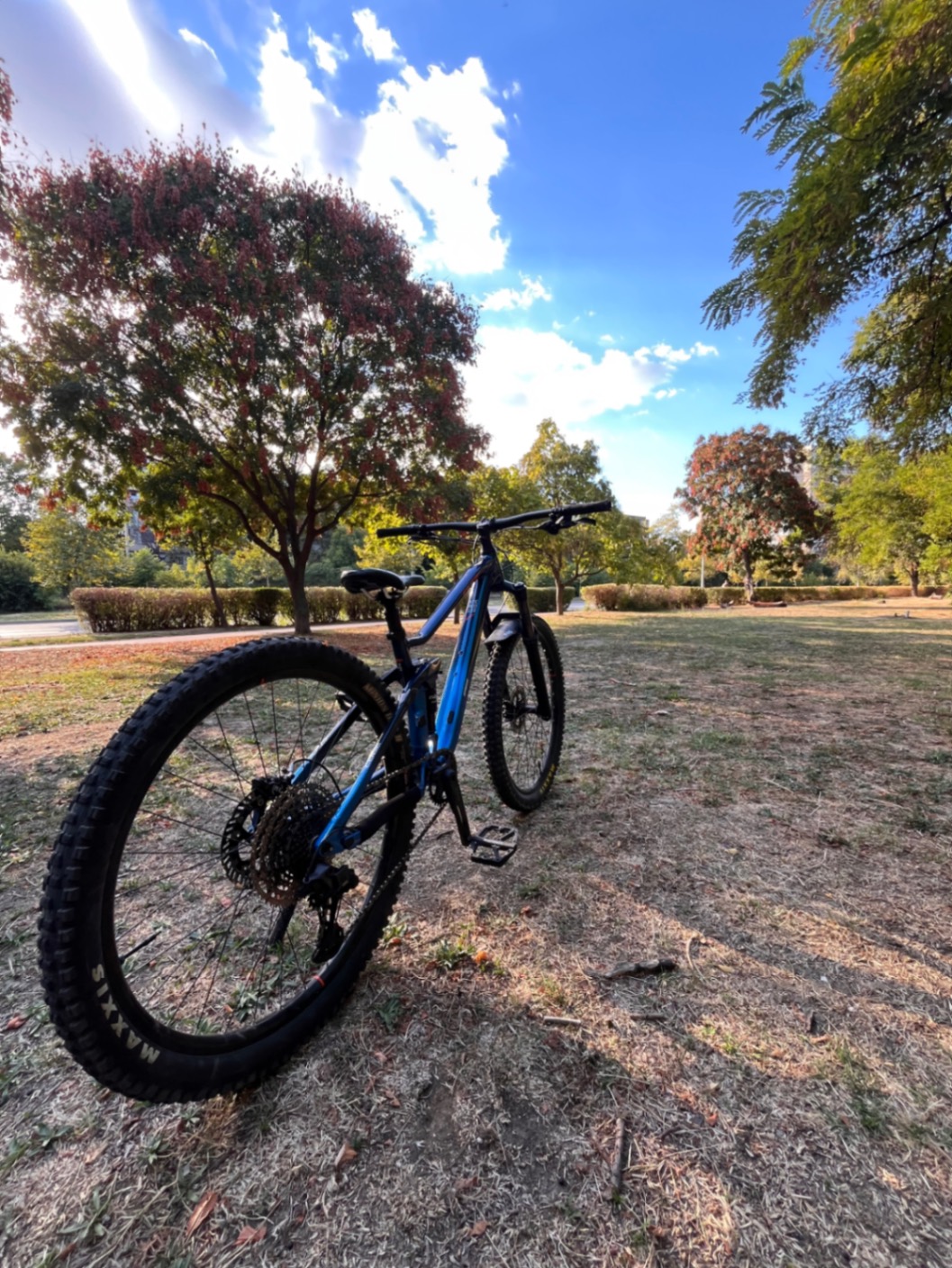 Bike view 5