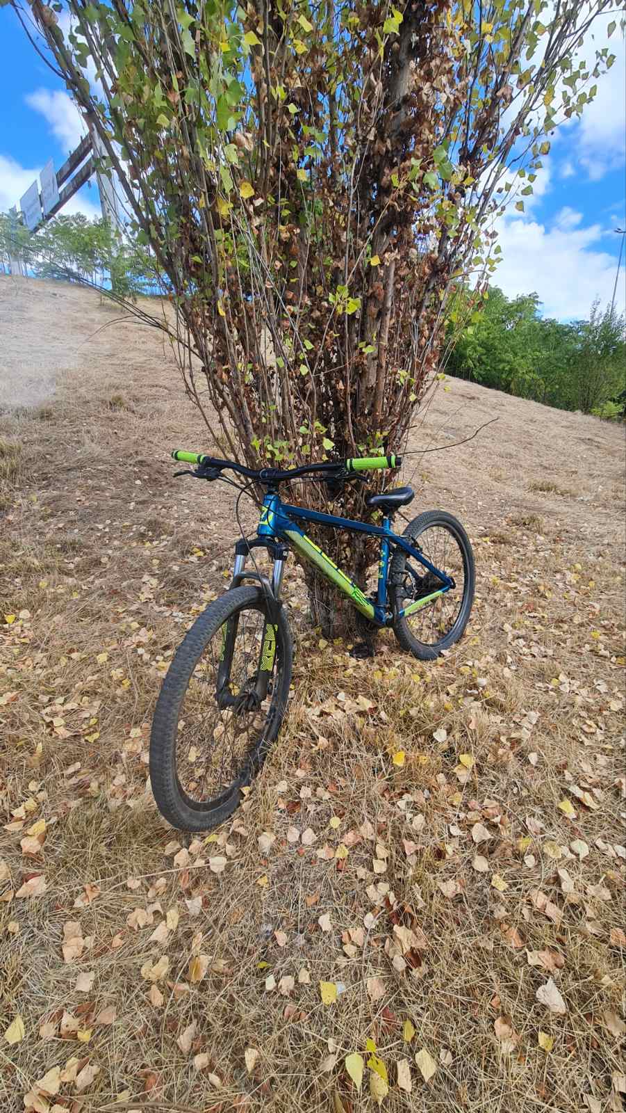 Bike view 5