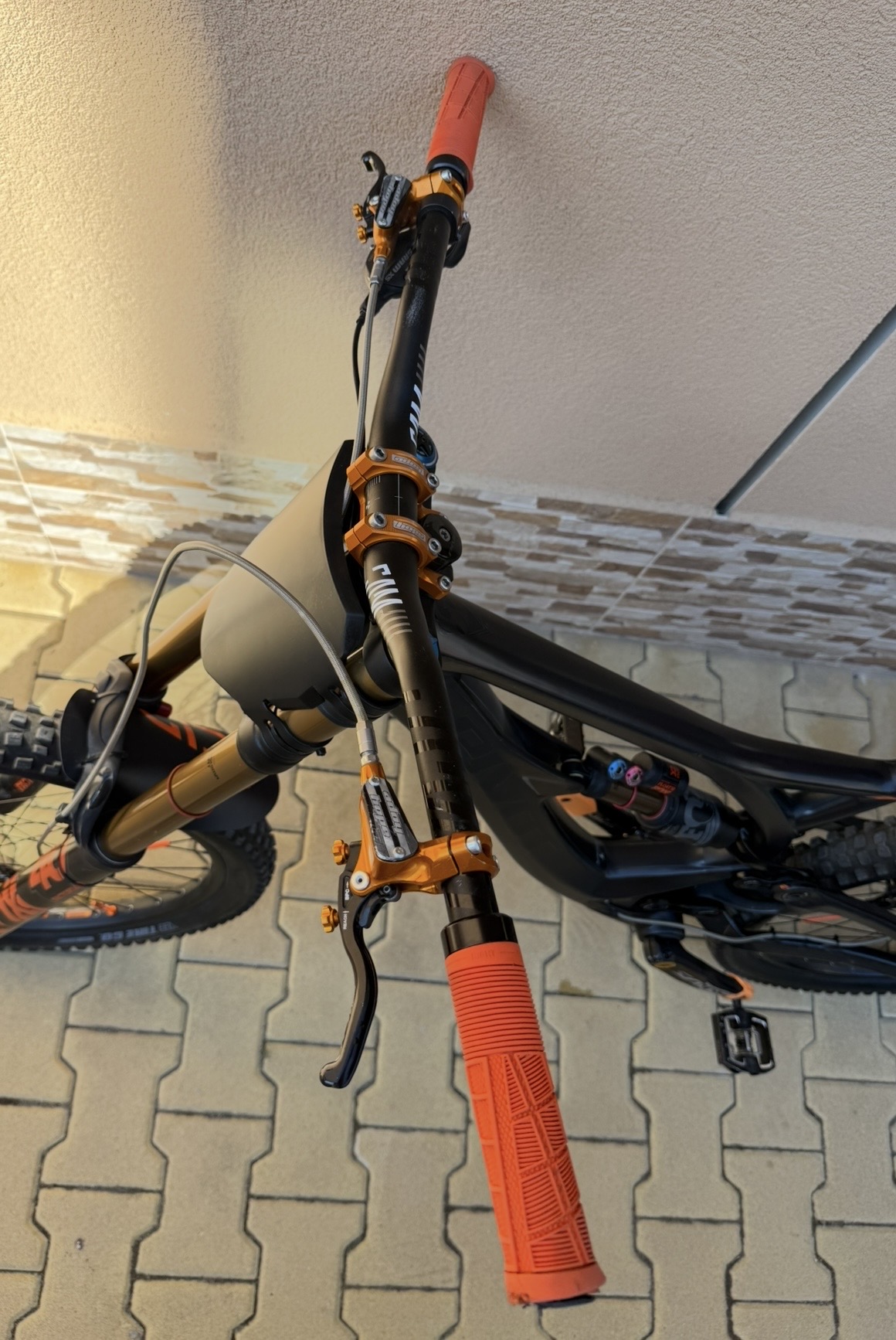 Pivot Phoenix view 5