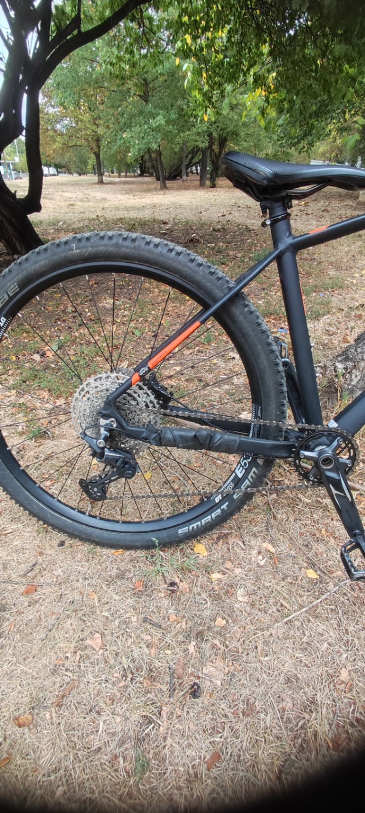 Bike view 7
