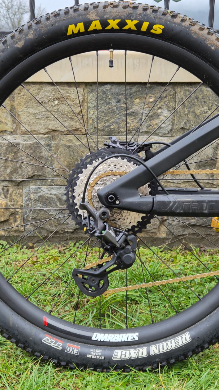 Bike view 8