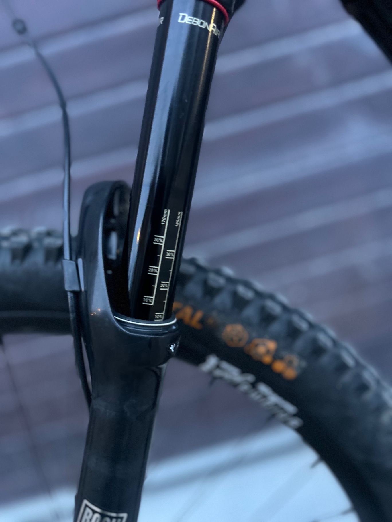 Bike view 7