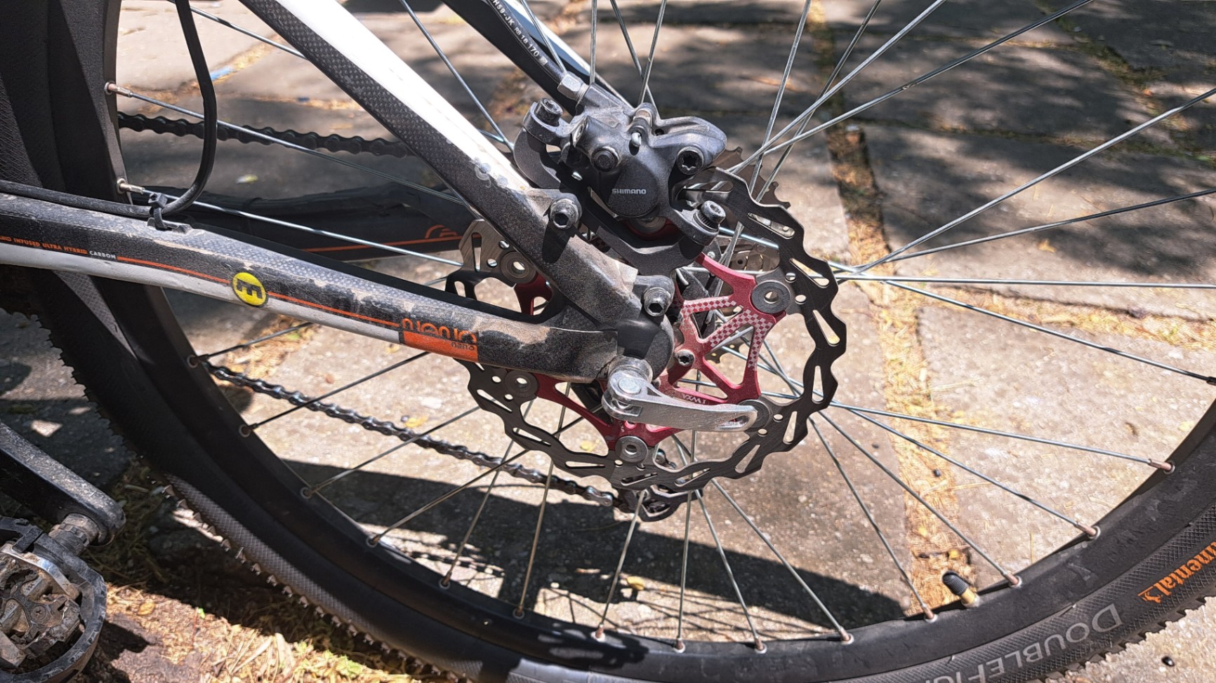 Bike view 7