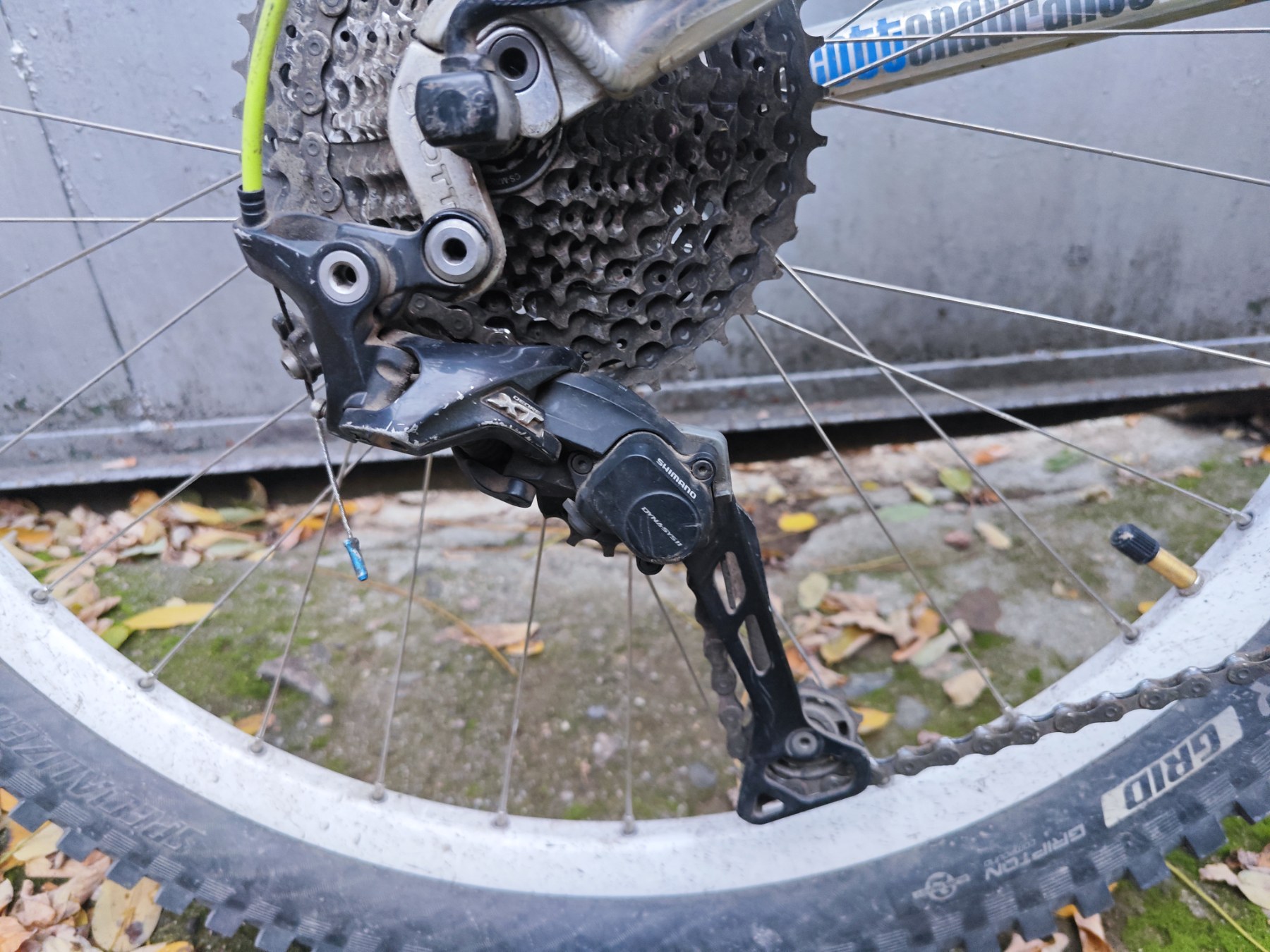 Bike view 2