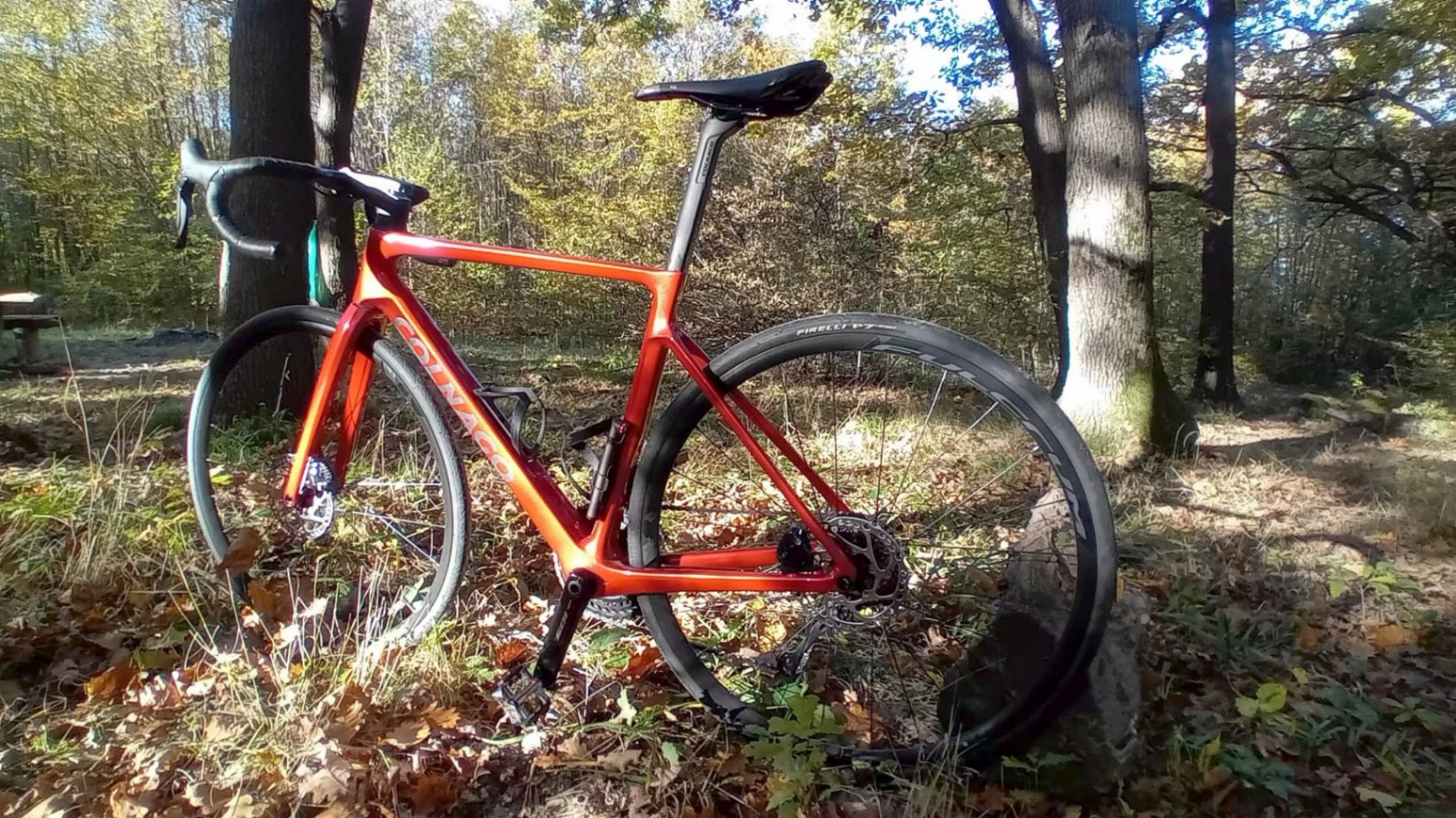 Bike view 2